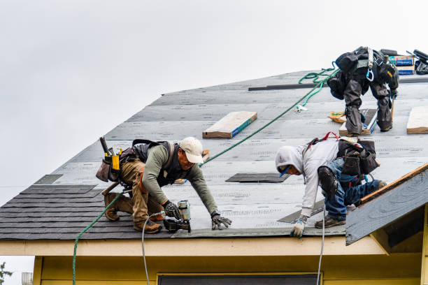 Professional Gutter Installation technician working in Williams, CA